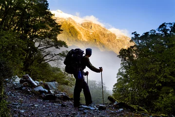 Foto op Plexiglas A hiker pauses for a rest at a clearing while hiking on the Milford Track in New Zealand © THP Creative
