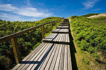 Fototapeta na wymiar Wooden Path na wyspie Sylt