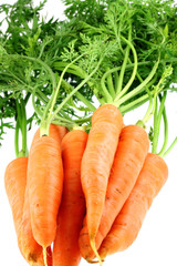 carottes nouvelles, fond blanc