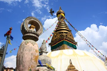 Fotobehang Stupa in Swayambhunath and bird © lanx