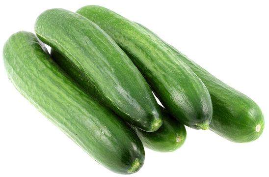 4,328 BEST Concombre IMAGES, STOCK PHOTOS u0026 VECTORS  Adobe Stock