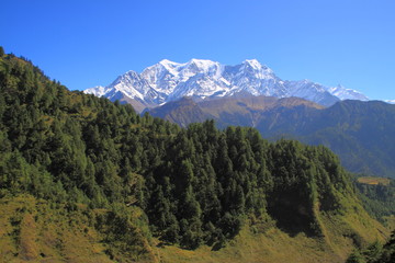 Obraz premium ヒマラヤと森と青空