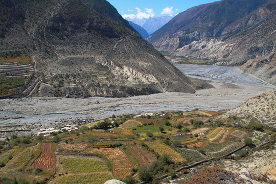 Himalaya and the Field