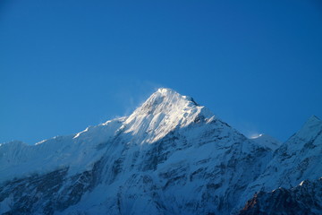 Nilgiri glittering in the morning sun