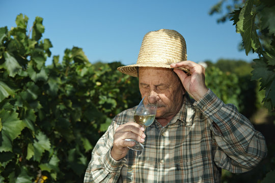 Senior winemaker testing wine