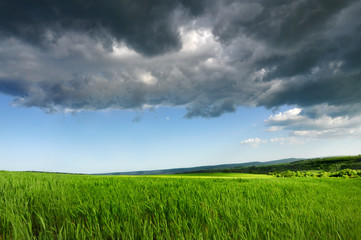 Green fresh field, Blue Dramatic  Sky And Grey Clouds