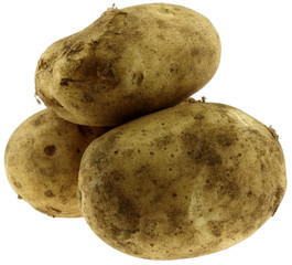 pommes de terre, fond blanc