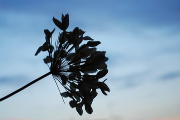 Flor artesanal