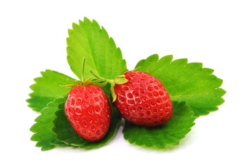 Erdbeeren