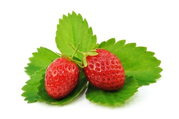 Ernte, Obst