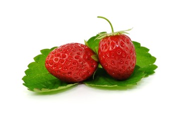 Lecker, lecker!
