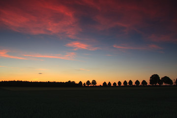 Obraz premium Abenddämmerung