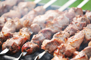 meat slices