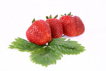 Strawberries on a leaf on white background