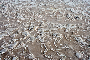 beautiful salt structure at the coast line