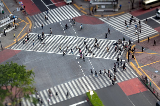  Shibuya Crossing in Tokyo - Tiltshift Photo at morning