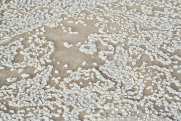 beautiful salt structure on stone at the coast line