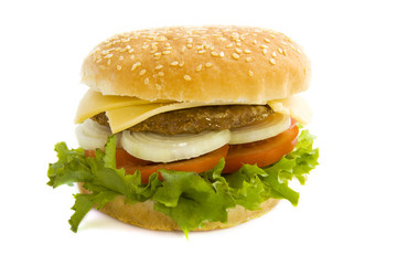 Tasty hamburger