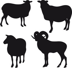 Sheep vector