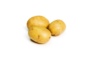 Potato