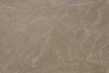 Monkey figure, Nazca lines in Peruvian desert