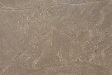 Foto op Plexiglas Monkey figure, Nazca lines in Peruvian desert © Tomaz Kunst