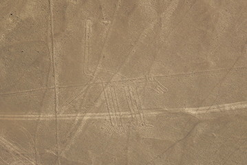 Dog figure, Nazca lines in Peruvian desert
