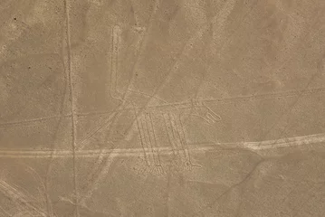 Poster Dog figure, Nazca lines in Peruvian desert © Tomaz Kunst