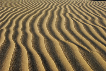 Sand dunes above Huacachina, Peru, in the late afternoon