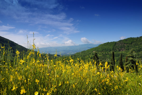 Appennino panorama