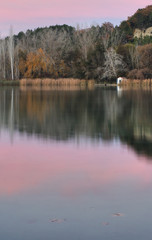 Paisaje. Lago de Banyoles