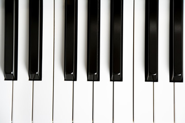 Naklejka premium Piano Key