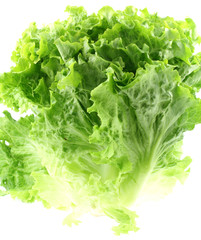 salade laitue, fond blanc