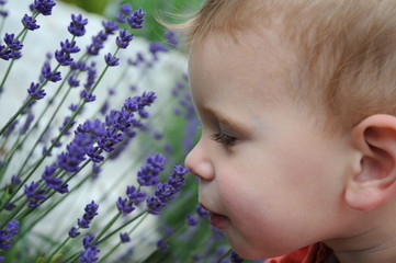 Kind mit Lavendel
