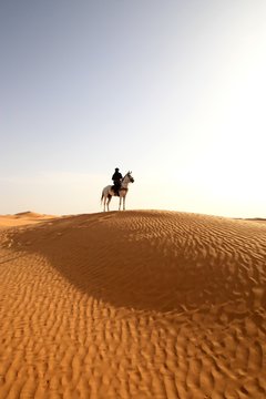 Tunisie - Sahara - Prince Berbere