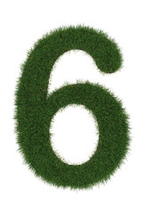 6 grass number