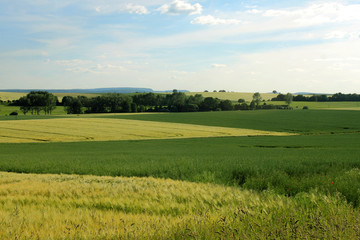 agricultural landscape and cloudy blue sky