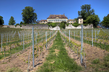 Fototapeta na wymiar Chateau de Vullierens, Switzerland