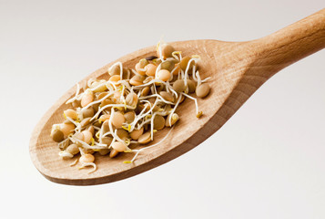 Lentil sprouts