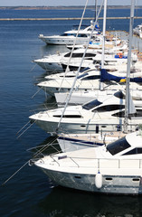Fototapeta premium yachts at berth