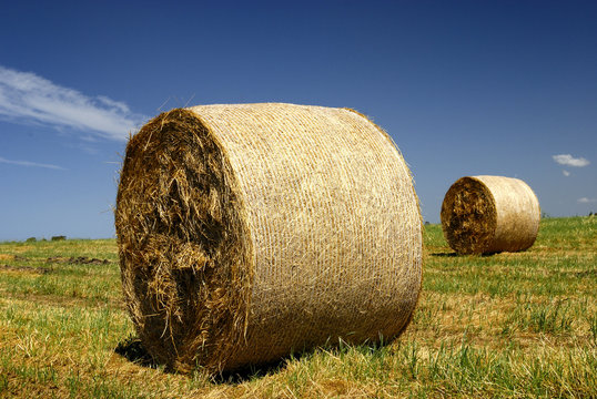 Campagne,balle di fieno