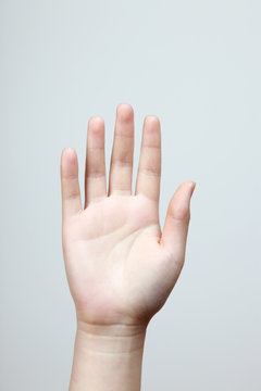 Woman hand (palm) isolated