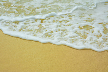 surf in the tropical beach