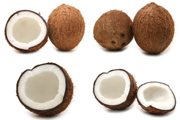 coconut 5