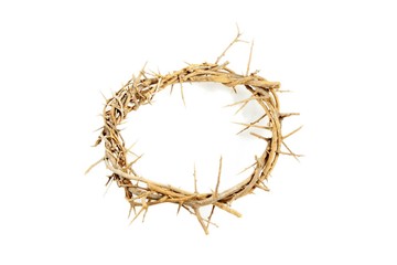 crown of thorns