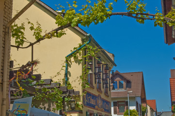 Gasthaus mit Weinreben in Nierstein