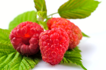 Raspberries