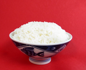Single bowl of white rice