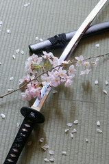 日本刀と桜