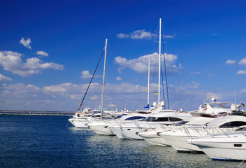 White yachts